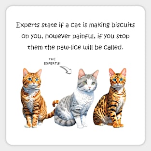 Experts state if a cat is making biscuits on you - funny watercolour cat design Magnet